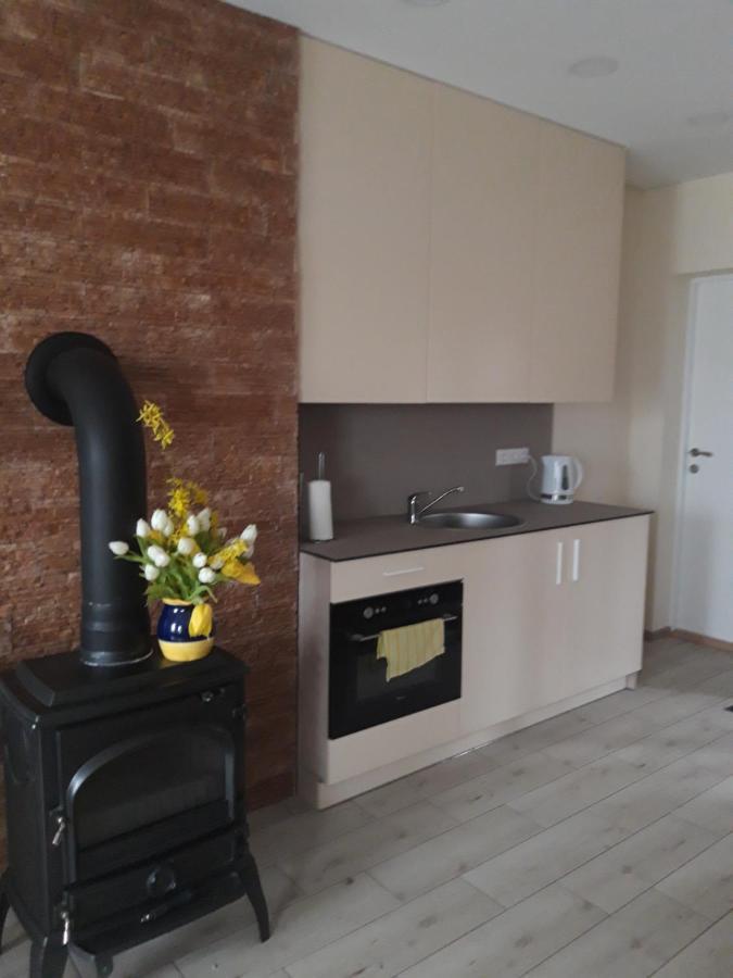 קובנה Liux Apartamentai מראה חיצוני תמונה